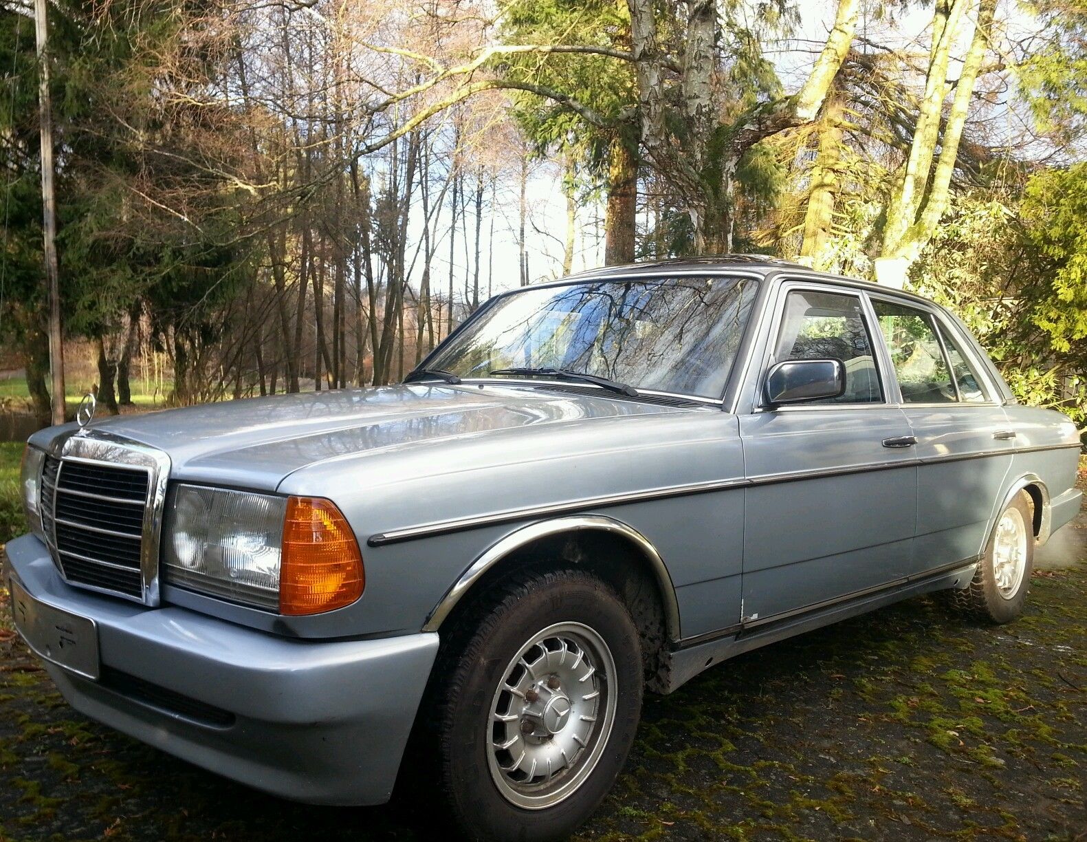 W123 280E Das Nast MBEXOTENFORUM