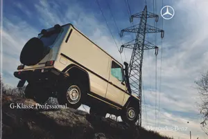 PROFESSIONAL