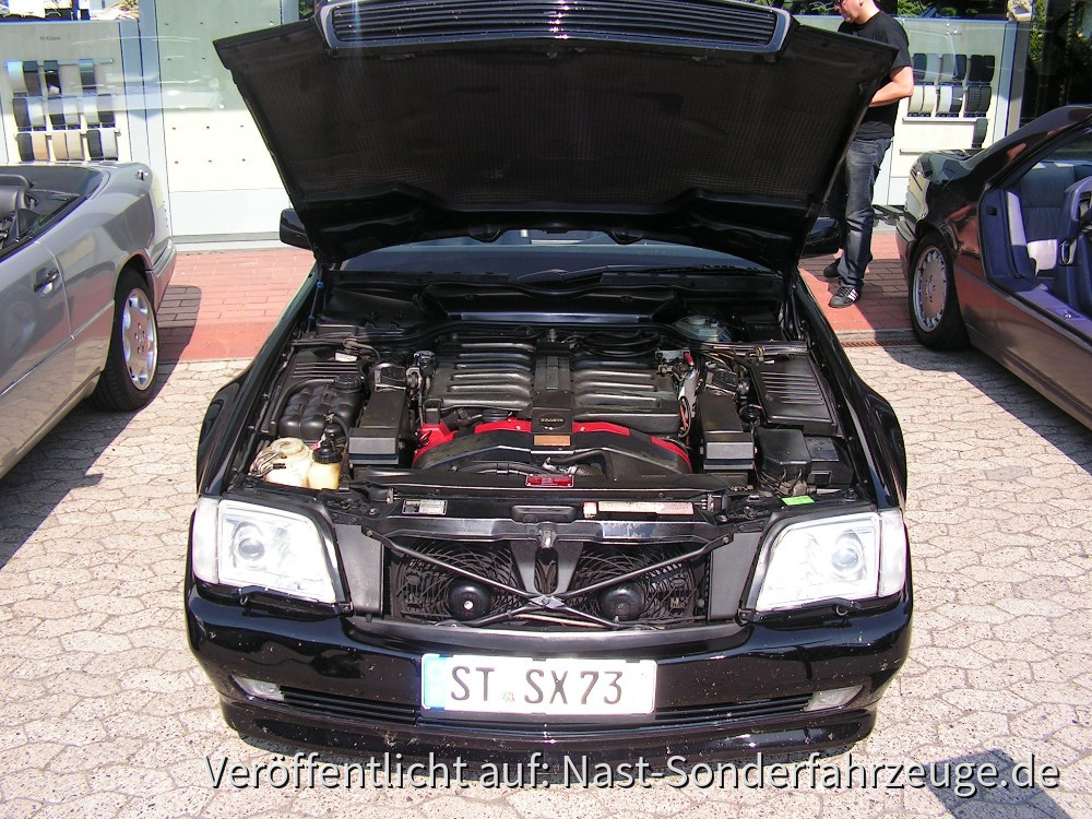 MB-Exotenforum Treffen 05_06_2011 (6)