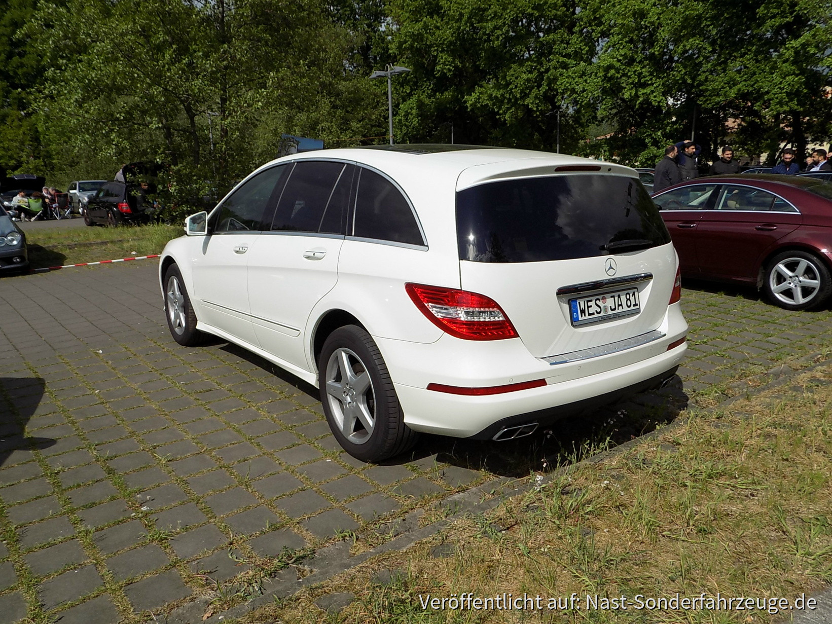 Mercedes-Treffen Hannover-Gabsen 14_05_2016 (48)