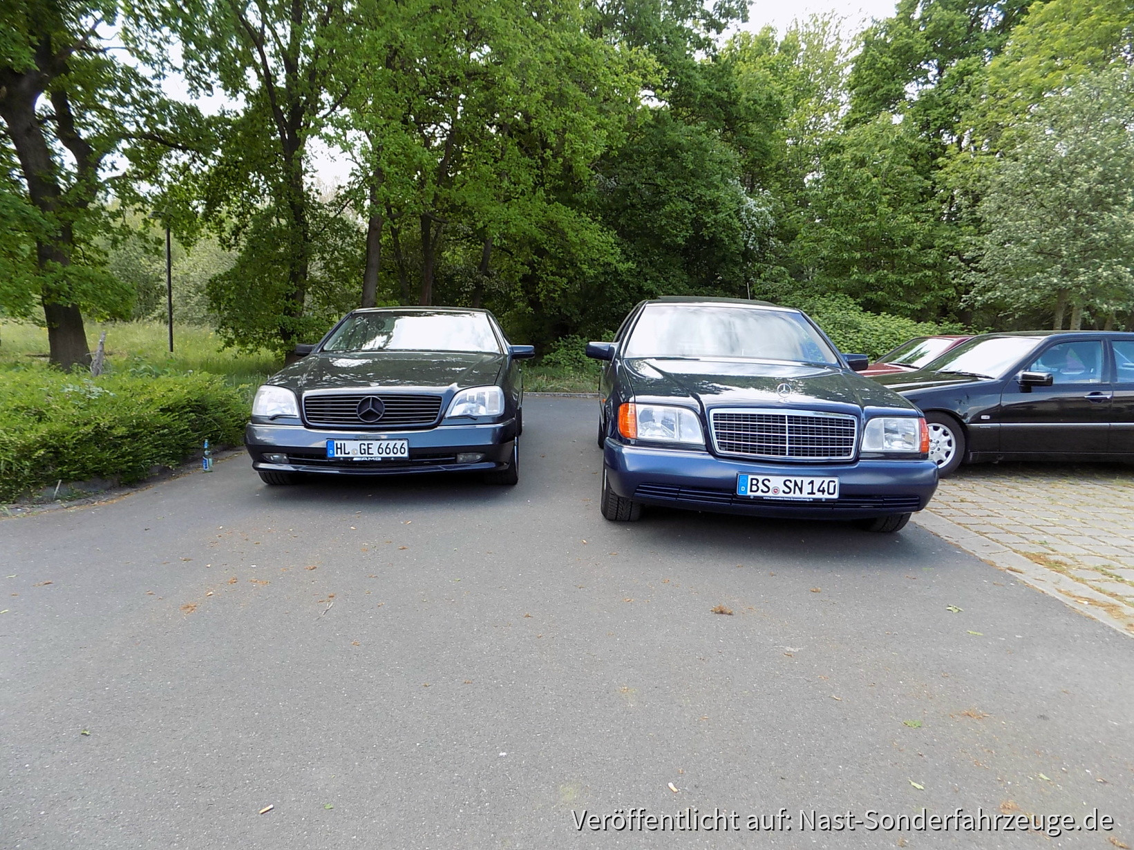 Mercedes-Treffen Hannover-Gabsen 14_05_2016 (59)