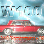 w100-custum-05