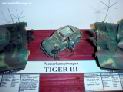 tiger310.jpg